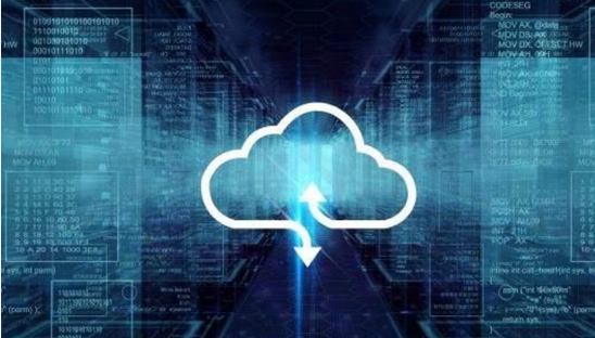 白姐全年正版王中王