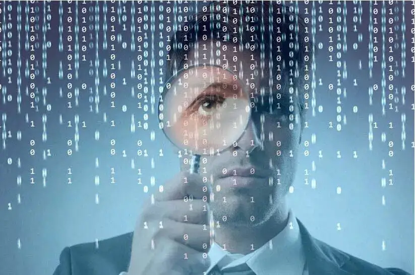 白姐全年正版王中王