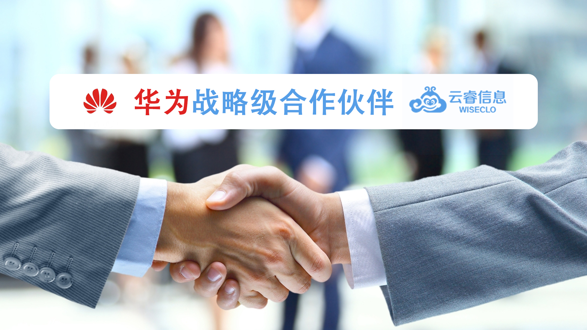 白姐全年正版王中王