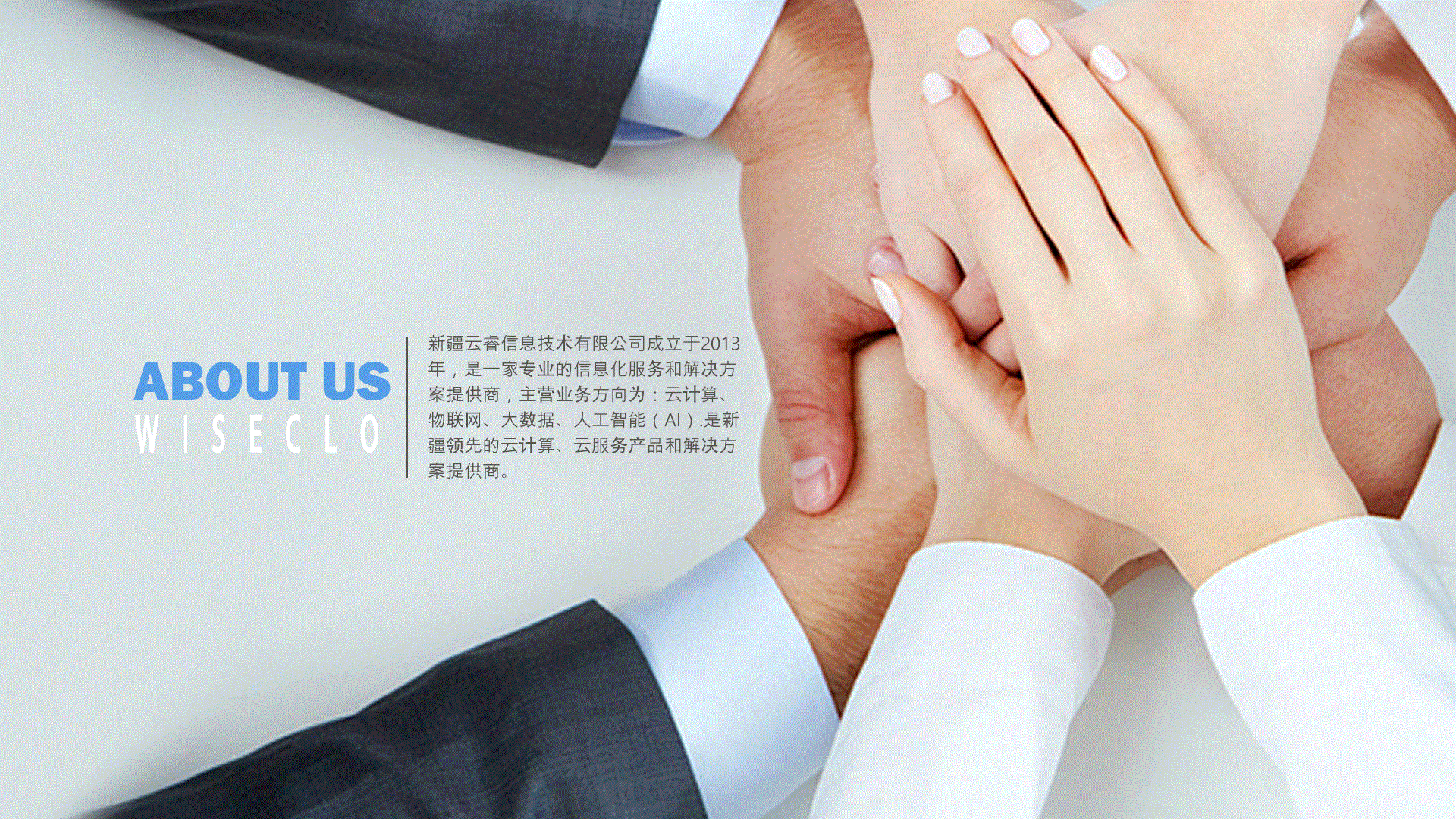 白姐全年正版王中王