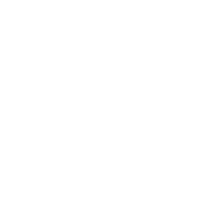 白姐全年正版王中王