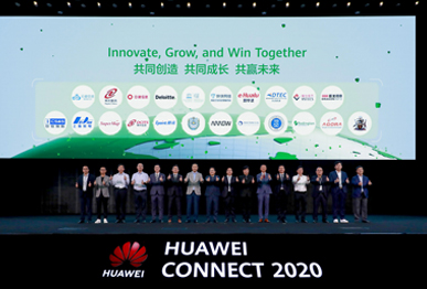 白姐全年正版王中王