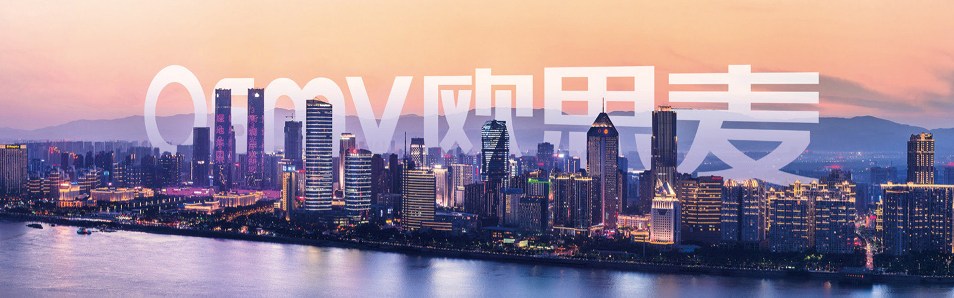 白姐全年正版王中王