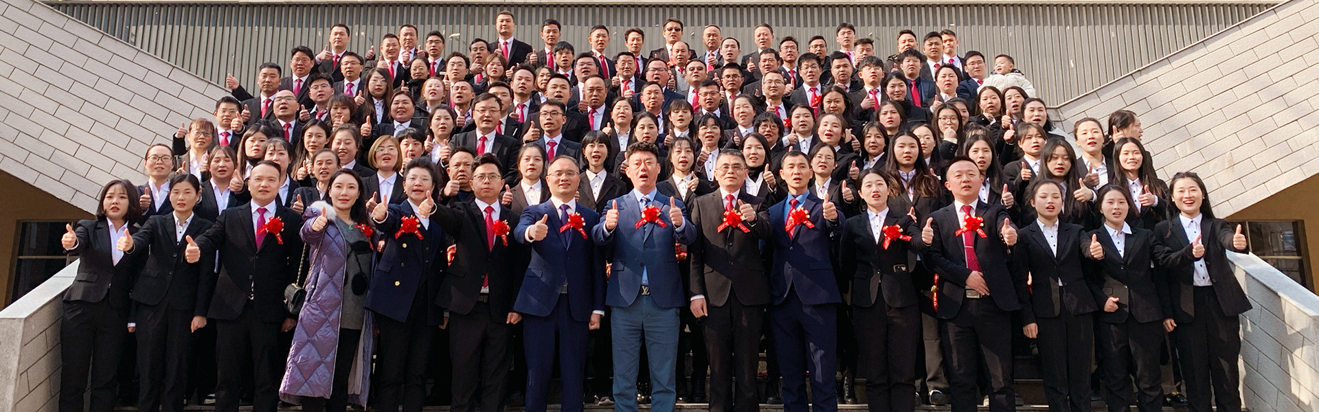 白姐全年正版王中王