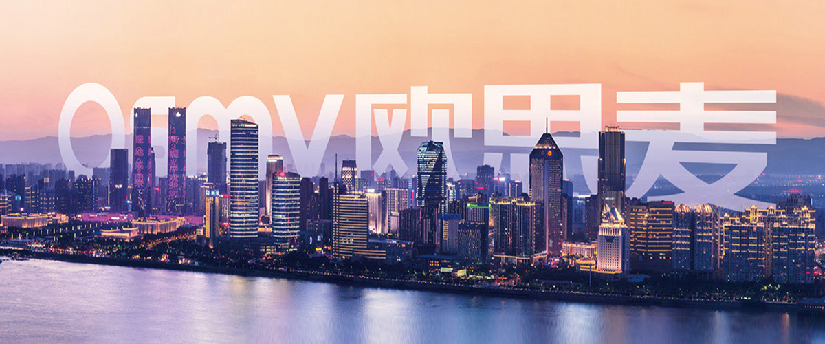 白姐全年正版王中王